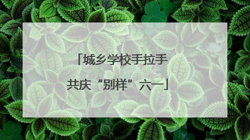 城乡学校手拉手 共庆“别样”六一