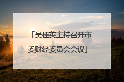 吴桂英主持召开市委财经委员会会议