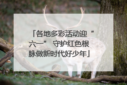 各地多彩活动迎“六一” 守护红色根脉做新时代好少年