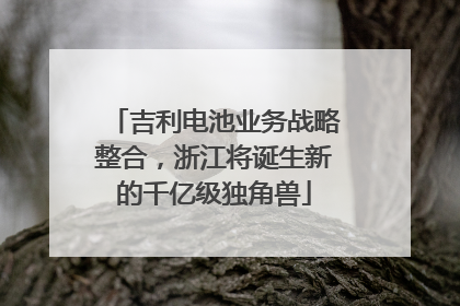 吉利电池业务战略整合，浙江将诞生新的千亿级独角兽