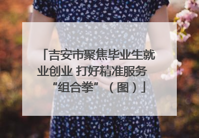吉安市聚焦毕业生就业创业 打好精准服务“组合拳”（图）