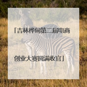 吉林桦甸第二届电商创业大赛圆满收官