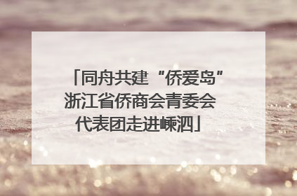 同舟共建“侨爱岛” 浙江省侨商会青委会代表团走进嵊泗