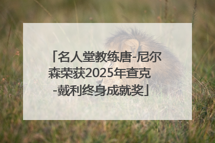 名人堂教练唐-尼尔森荣获2025年查克-戴利终身成就奖