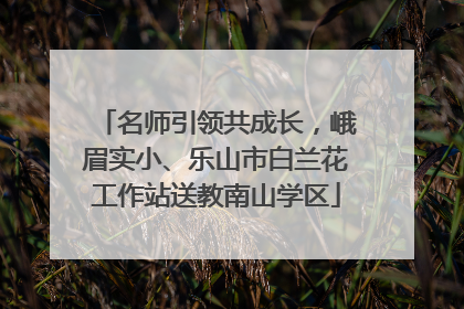名师引领共成长，峨眉实小、乐山市白兰花工作站送教南山学区