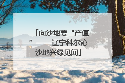 向沙地要“产值”——辽宁科尔沁沙地兴绿见闻