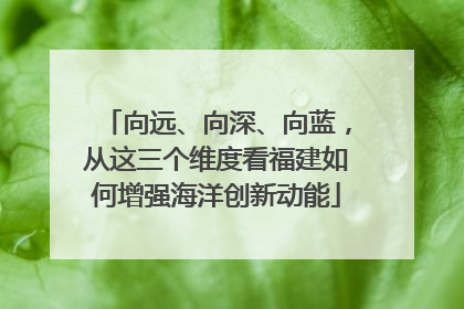 向远、向深、向蓝，从这三个维度看福建如何增强海洋创新动能