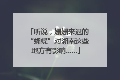 听说，姗姗来迟的“蝴蝶”对湖南这些地方有影响……