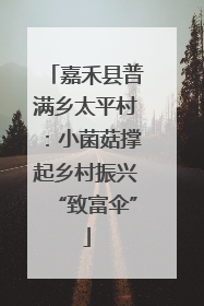 嘉禾县普满乡太平村：小菌菇撑起乡村振兴“致富伞”