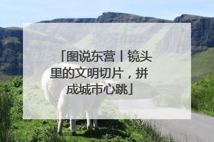 图说东营丨镜头里的文明切片，拼成城市心跳