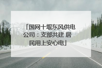 国网十堰东风供电公司：支部共建 居民用上安心电