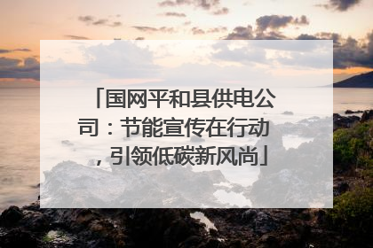 国网平和县供电公司：节能宣传在行动，引领低碳新风尚