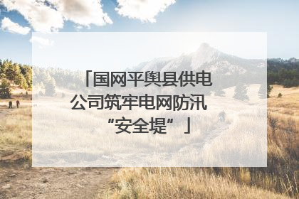 国网平舆县供电公司筑牢电网防汛“安全堤”