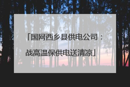国网西乡县供电公司：战高温保供电送清凉