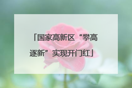 国家高新区“攀高逐新”实现开门红