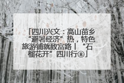 四川兴文：高山苗乡“避暑经济”热，特色旅游铺就致富路丨“石榴花开”四川行⑧