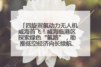 四旋翼氢动力无人机威海首飞！威海临港区探索绿色“氢路”，助推低空经济向长续航、大载重“进化”