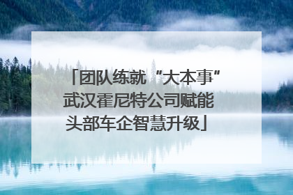 团队练就“大本事” 武汉霍尼特公司赋能头部车企智慧升级