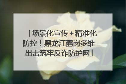 场景化宣传＋精准化防控！黑龙江鹤岗多维出击筑牢反诈防护网