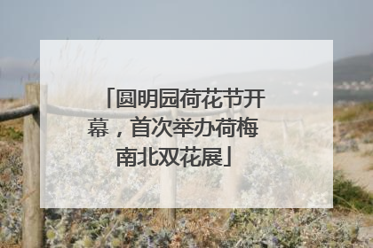 圆明园荷花节开幕，首次举办荷梅南北双花展