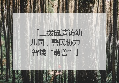 土拨鼠造访幼儿园，警民协力智擒“萌兽”