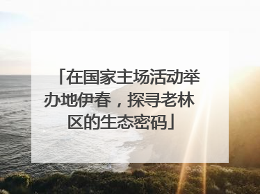 在国家主场活动举办地伊春，探寻老林区的生态密码
