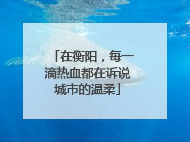 在衡阳，每一滴热血都在诉说城市的温柔