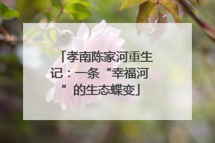 孝南陈家河重生记：一条“幸福河”的生态蝶变