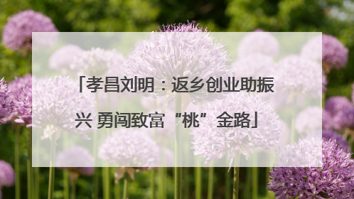 孝昌刘明：返乡创业助振兴 勇闯致富“桃”金路