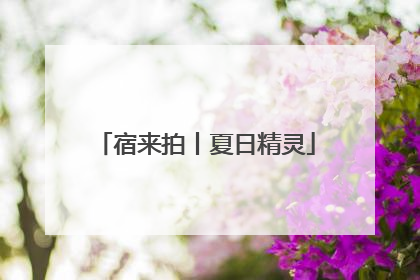 宿来拍丨夏日精灵