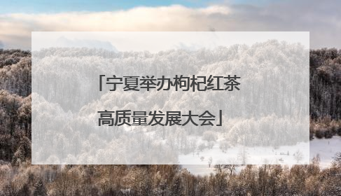 宁夏举办枸杞红茶高质量发展大会