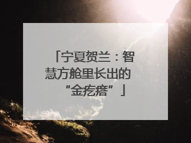 宁夏贺兰：智慧方舱里长出的“金疙瘩”