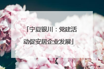 宁夏银川：党建活动促安居企业发展