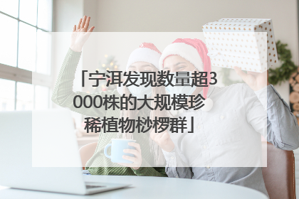 宁洱发现数量超3000株的大规模珍稀植物桫椤群