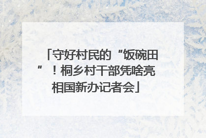 守好村民的“饭碗田”！桐乡村干部凭啥亮相国新办记者会