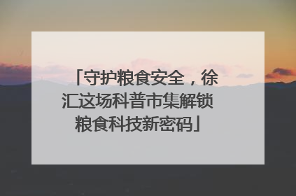 守护粮食安全，徐汇这场科普市集解锁粮食科技新密码