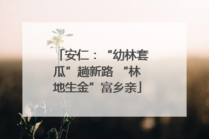 安仁：“幼林套瓜”趟新路 “林地生金”富乡亲