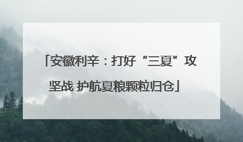 安徽利辛：打好“三夏”攻坚战 护航夏粮颗粒归仓