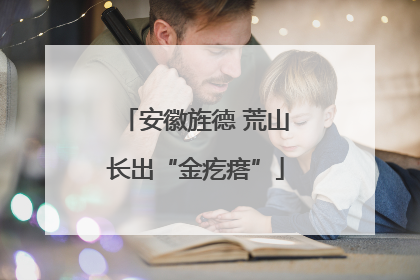 安徽旌德 荒山长出“金疙瘩”