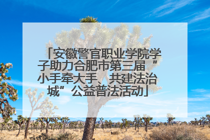 安徽警官职业学院学子助力合肥市第三届“小手牵大手、共建法治城”公益普法活动