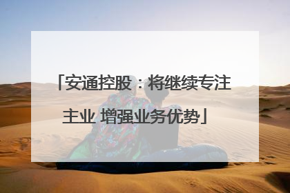 安通控股：将继续专注主业 增强业务优势