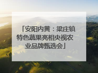 安阳内黄：梁庄镇特色蔬果亮相央视农业品牌甄选会