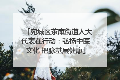 宛城区茶庵街道人大代表在行动：弘扬中医文化 把脉基层健康