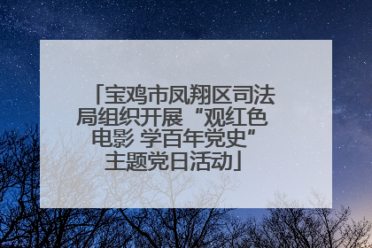 宝鸡市凤翔区司法局组织开展“观红色电影 学百年党史”主题党日活动