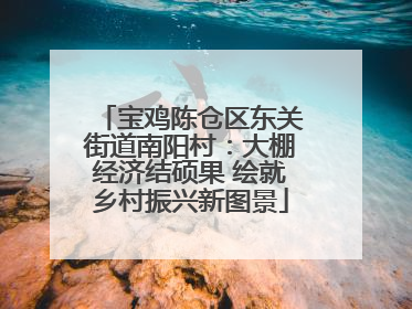 宝鸡陈仓区东关街道南阳村：大棚经济结硕果 绘就乡村振兴新图景