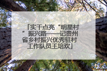实干点亮“明星村”振兴路——记贵州省乡村振兴优秀驻村工作队员王培欢