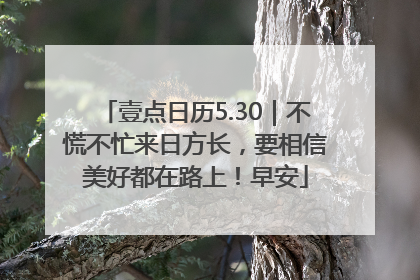 壹点日历5.30｜不慌不忙来日方长，要相信美好都在路上！早安