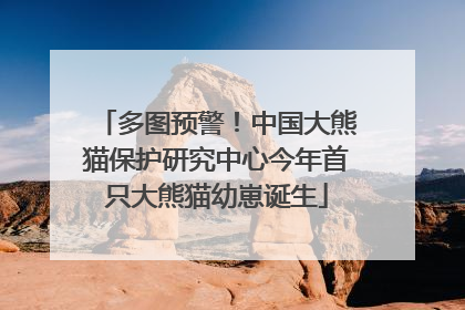 多图预警！中国大熊猫保护研究中心今年首只大熊猫幼崽诞生
