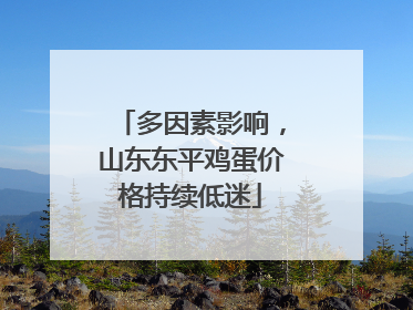 多因素影响，山东东平鸡蛋价格持续低迷