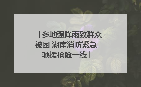 多地强降雨致群众被困 湖南消防紧急驰援抢险一线